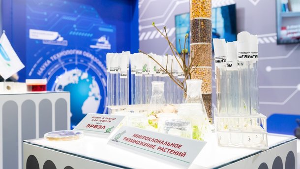 Конгресс молодых учёных 2022